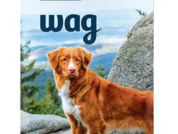 Wag Dry Dog Food Salmon & Sweet Potato, Grain Free 24 lb Bag