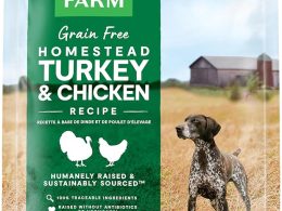 Open Farm, Grain-Free Dry Dog Food, Complete & Balanced Kibble, Sustainably & Ethically Sourced Ingredients, Non-GMO Veggies & Superfoods to Support Overall Health, Turkey and Chicken Recipe, 22lb Bag