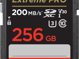 SanDisk 256GB Extreme PRO SDXC UHS-I Memory Card - C10, U3, V30, 4K UHD, SD Card - SDSDXXD-256G-GN4IN, Dark gray/Black
