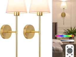 NIORSUN Battery Operated Wall Sconce Set of 2,Gold Rechargeable Wall Lights with 5200mAh Dimmable Bulbs and Remote,10 Colors Wireless Wall Lamps for Bedroom Living Room Hallway Decor